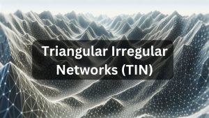 Triangular Irregular Network (TIN)