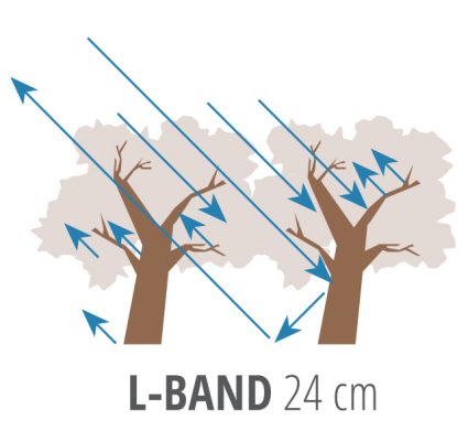 L-Band