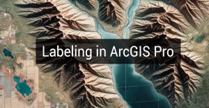 Labeling ArcGIS Pro Feature