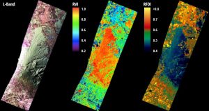 Radar Bands in Remote Sensing