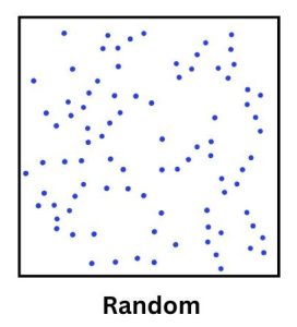 Random Point Distribution
