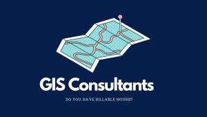 GIS Consultant