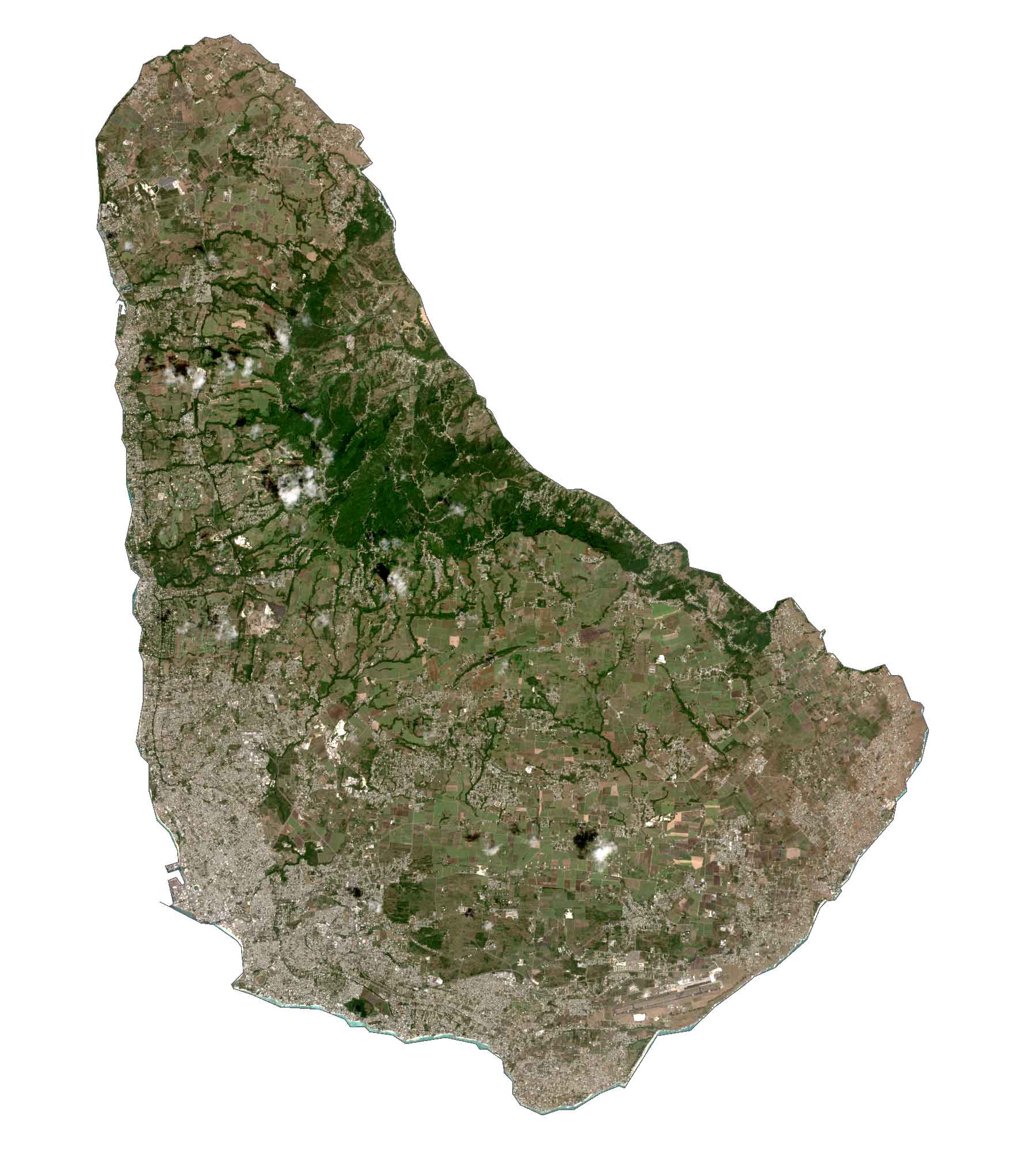 Barbados Satellite Map