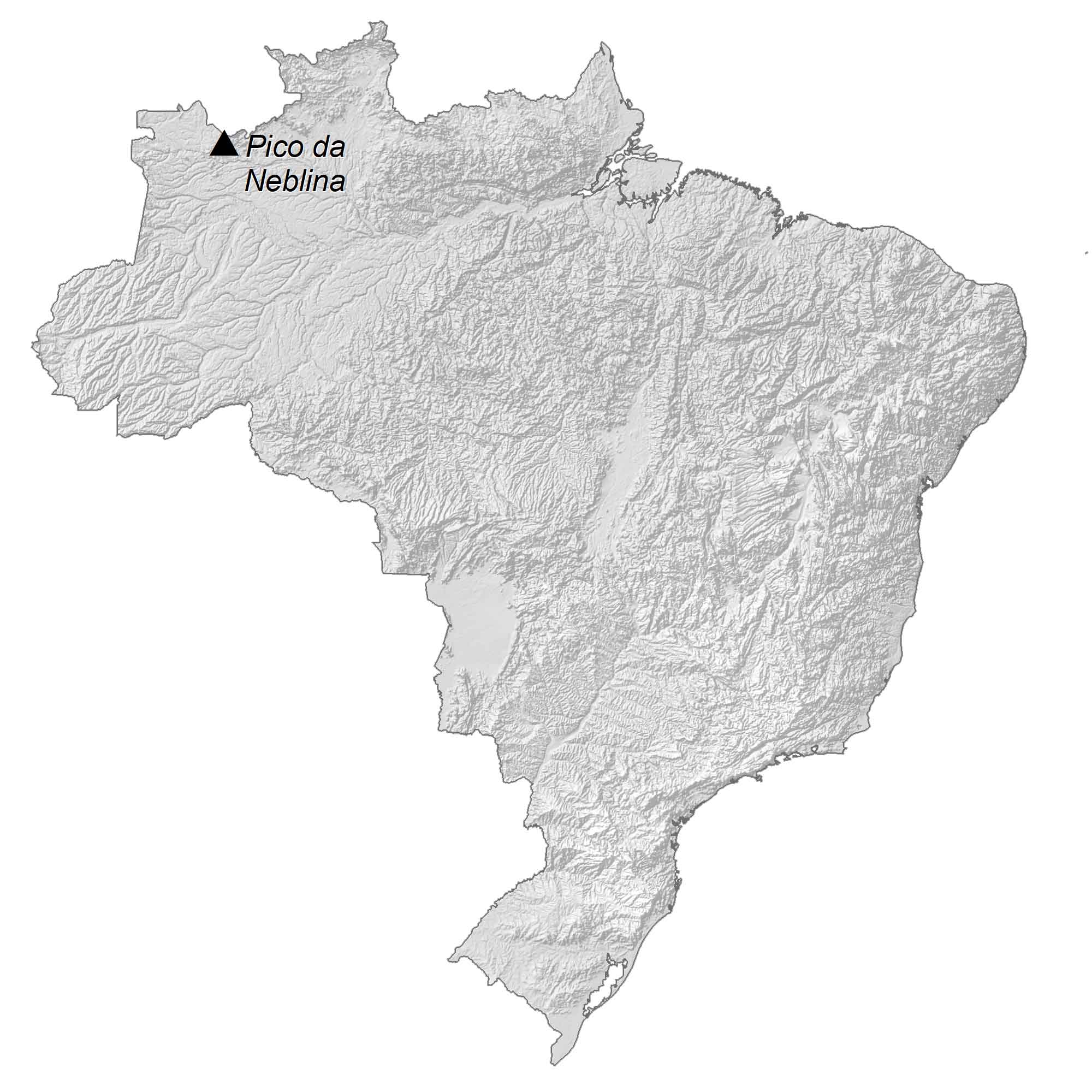 Brazil Elevation Map