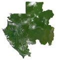 Gabon Satellite Map
