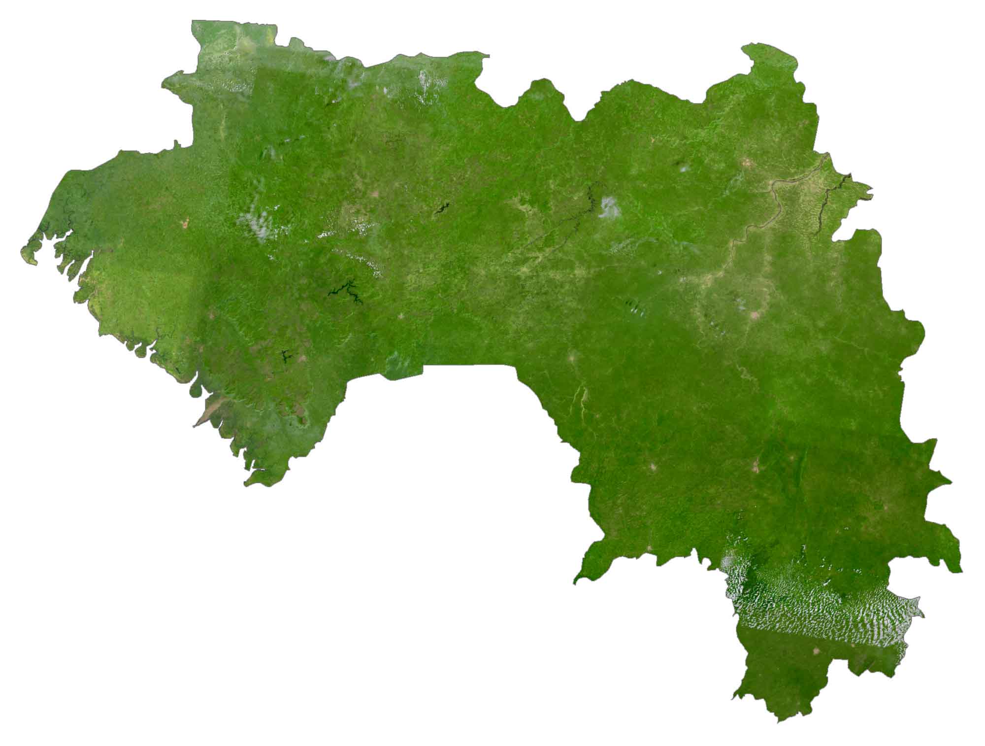 Guinea Satellite Map