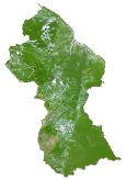 Guyana Satellite Map